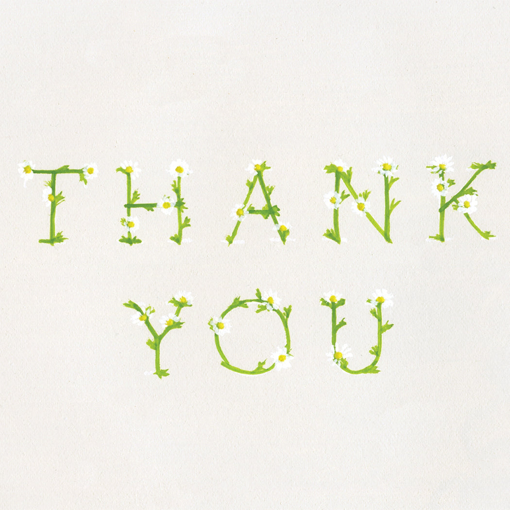 Thank You In Daisies  