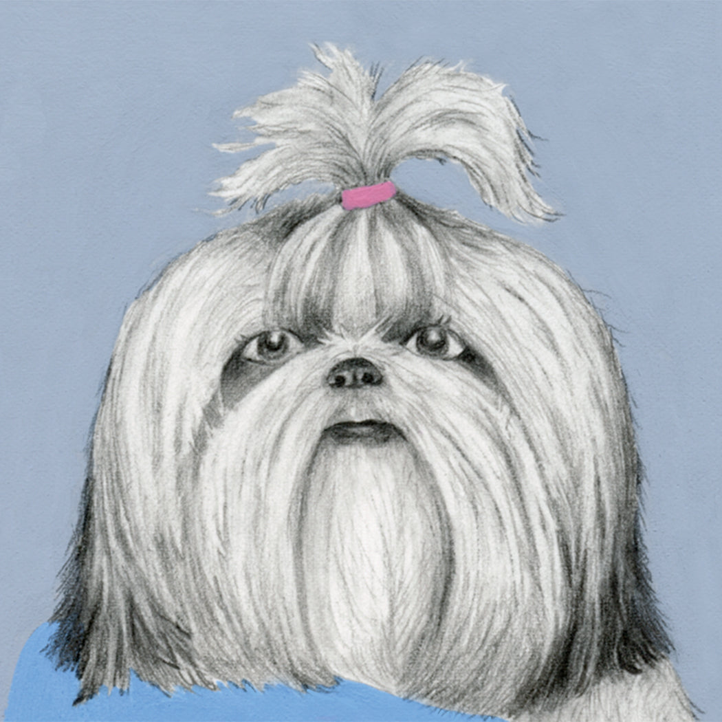 Shih Tzu in a Unicorn Tee  
