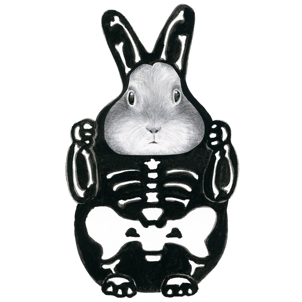 Bunny in a Skeleton Costume  
