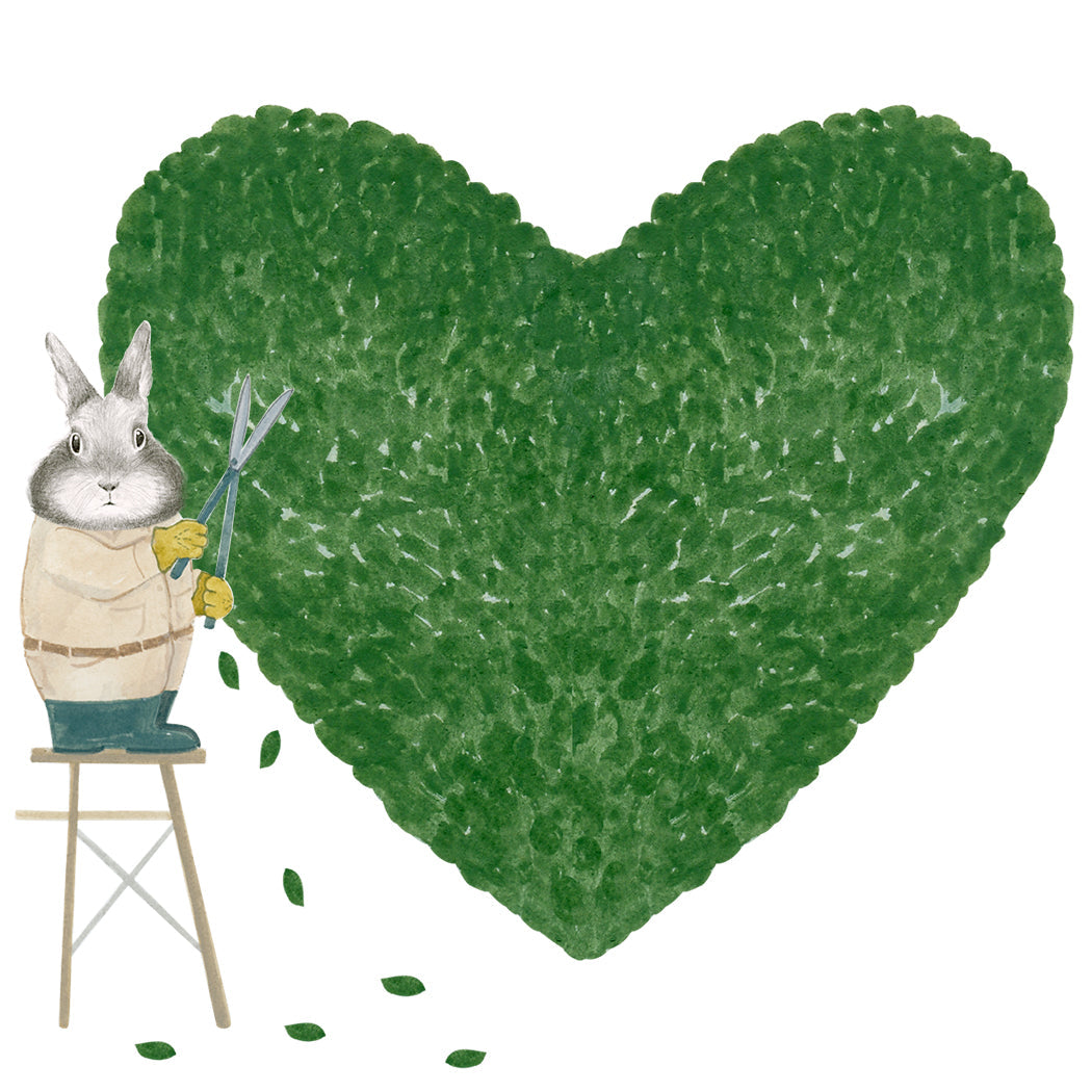 Some Bunny Loves You  