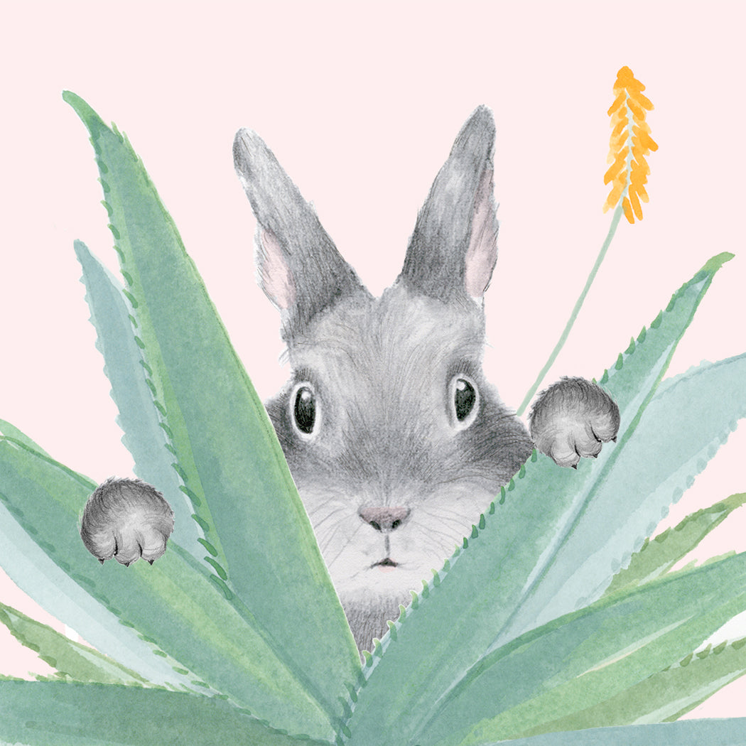 Aloe from the other Siiiide  