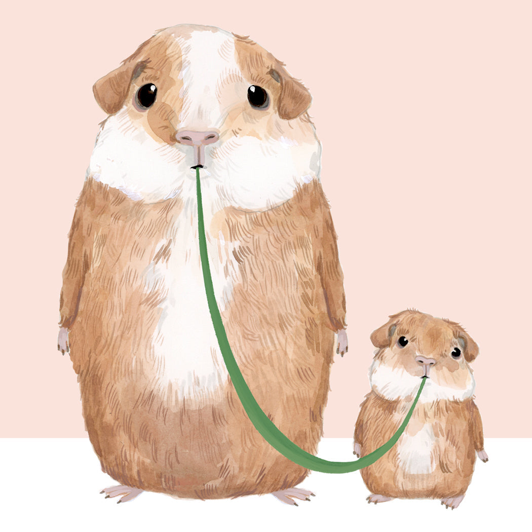 All You've Guinea Me-Mom  